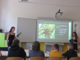 Nejjedovatější zvířata v Česku