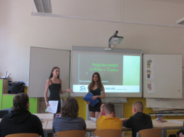 Nejjedovatější zvířata v Česku