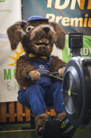 Veslování s obrovskou účastí