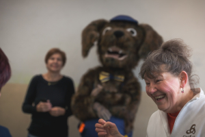 Veslování s obrovskou účastí